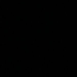 Meet your Posher, Bryanna